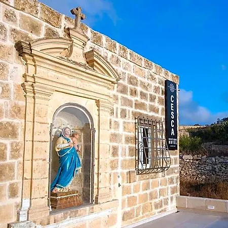 Cesca's Boutique קסלנדי